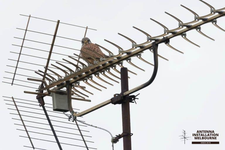Antenna Installation Melbourne With Kestrel